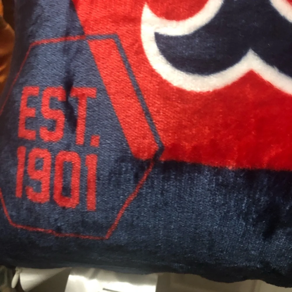 Boston Red Sox pillow MLB merchandise